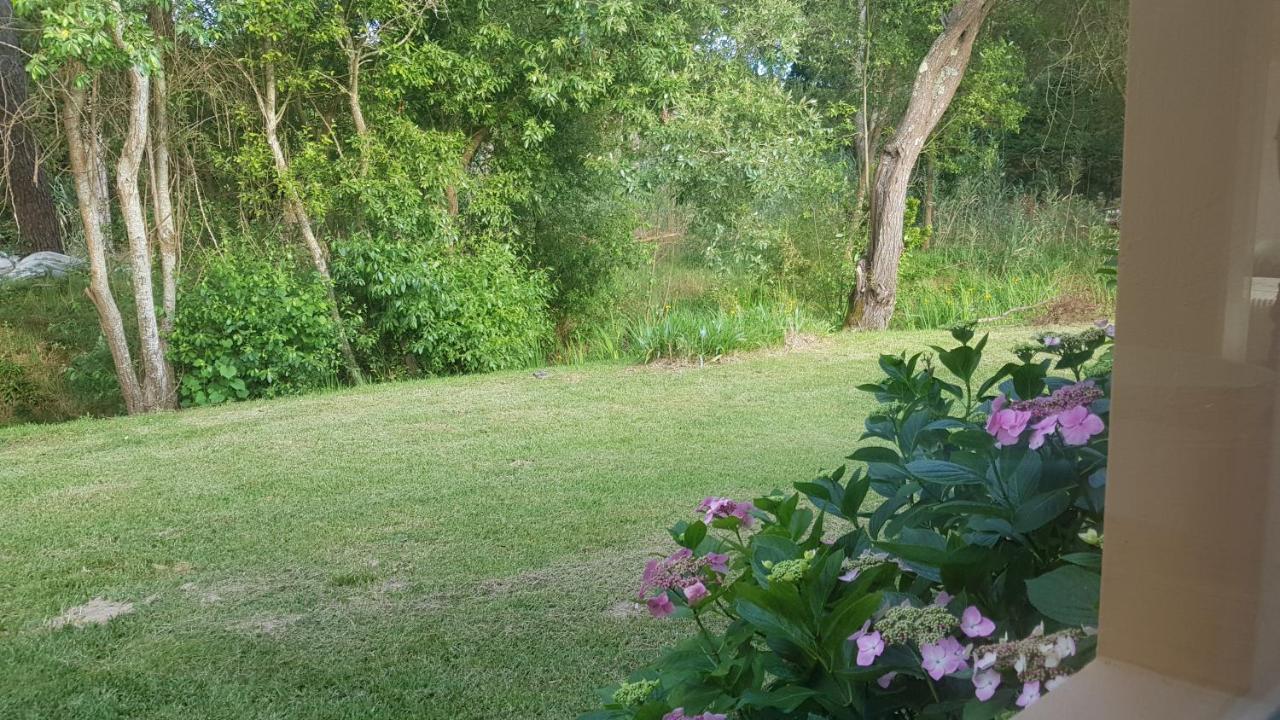 Casa Da Mata Villa Praia de Mira Dış mekan fotoğraf