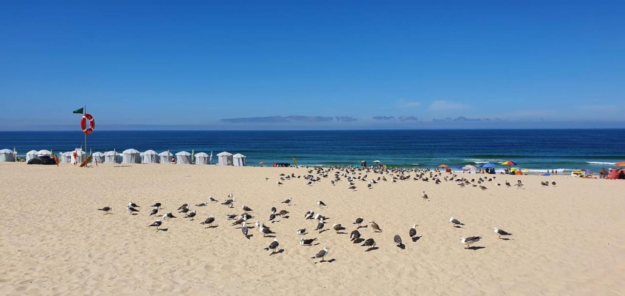Casa Da Mata Villa Praia de Mira Dış mekan fotoğraf
