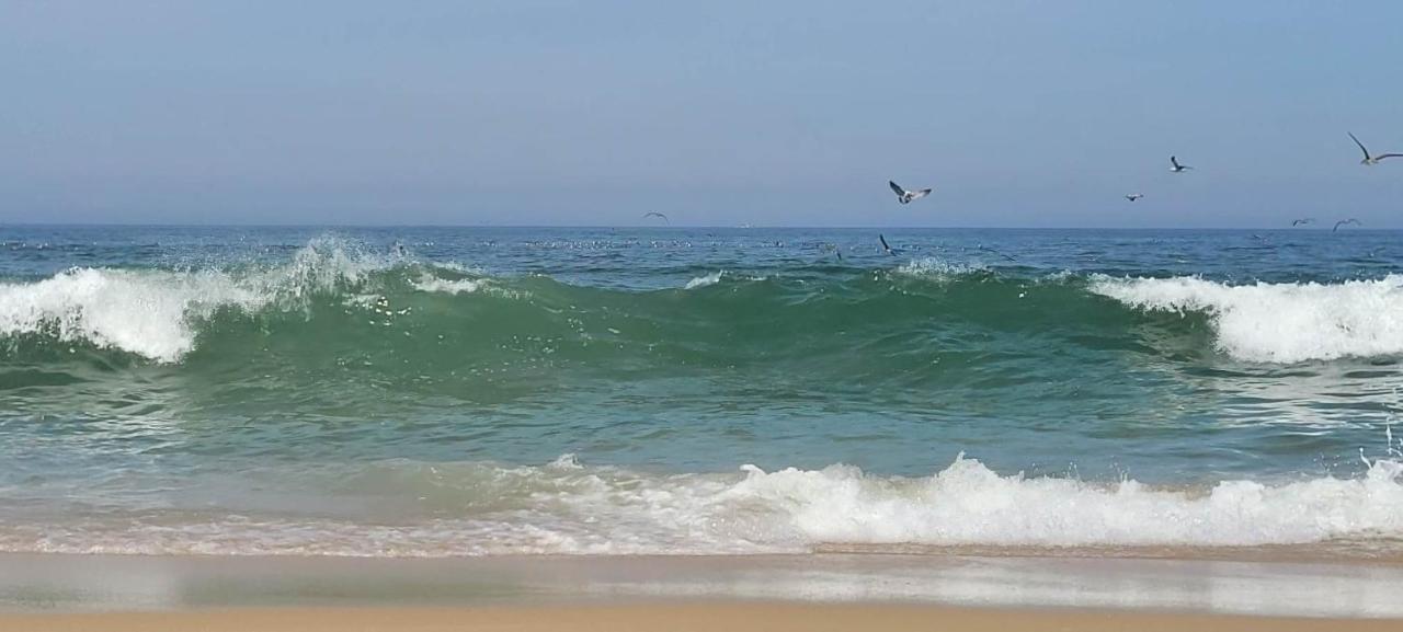 Casa Da Mata Villa Praia de Mira Dış mekan fotoğraf